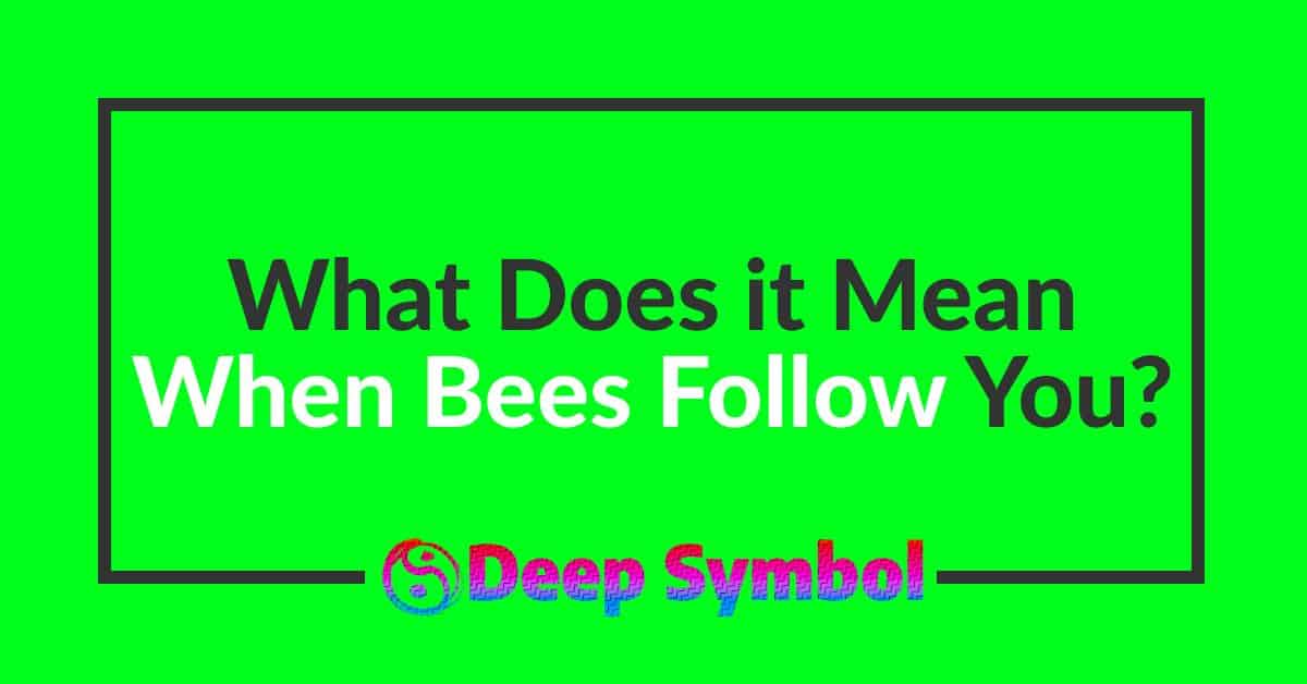 what does it mean when bees follow you