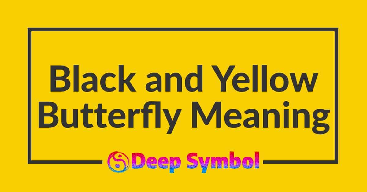 Black and Yellow Butterfly Meaning