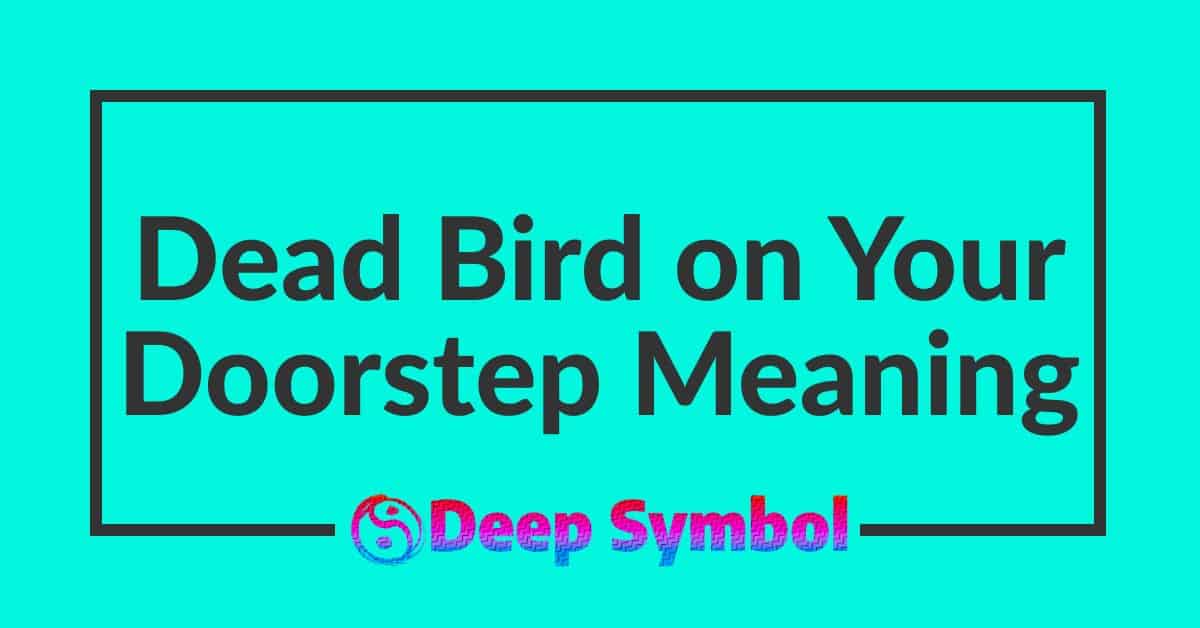 Dead Bird on Your Doorstep Meaning