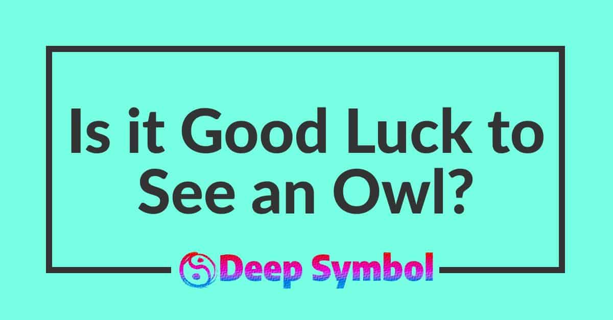 Is it Good Luck to See an Owl?