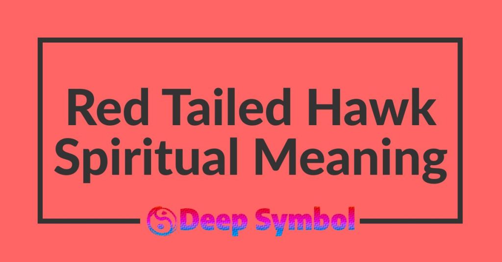 Red Tailed Hawk Spiritual Meaning