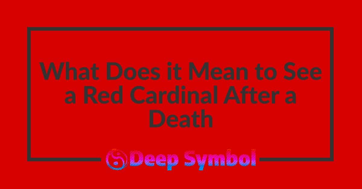 What Does it Mean to See a Red Cardinal After a Death