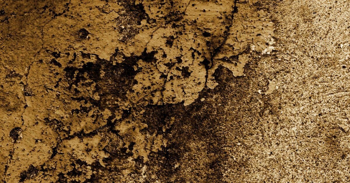 You Won’t Believe Why the Number 7 Holds Magical Power in Fairy Tales