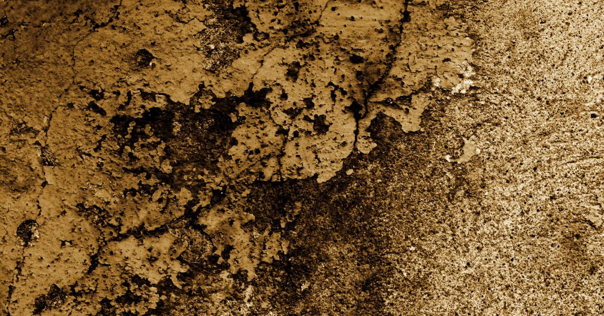 Unlock the Surprising Power Behind The Symbolism of Number 50 That Everyone Misses