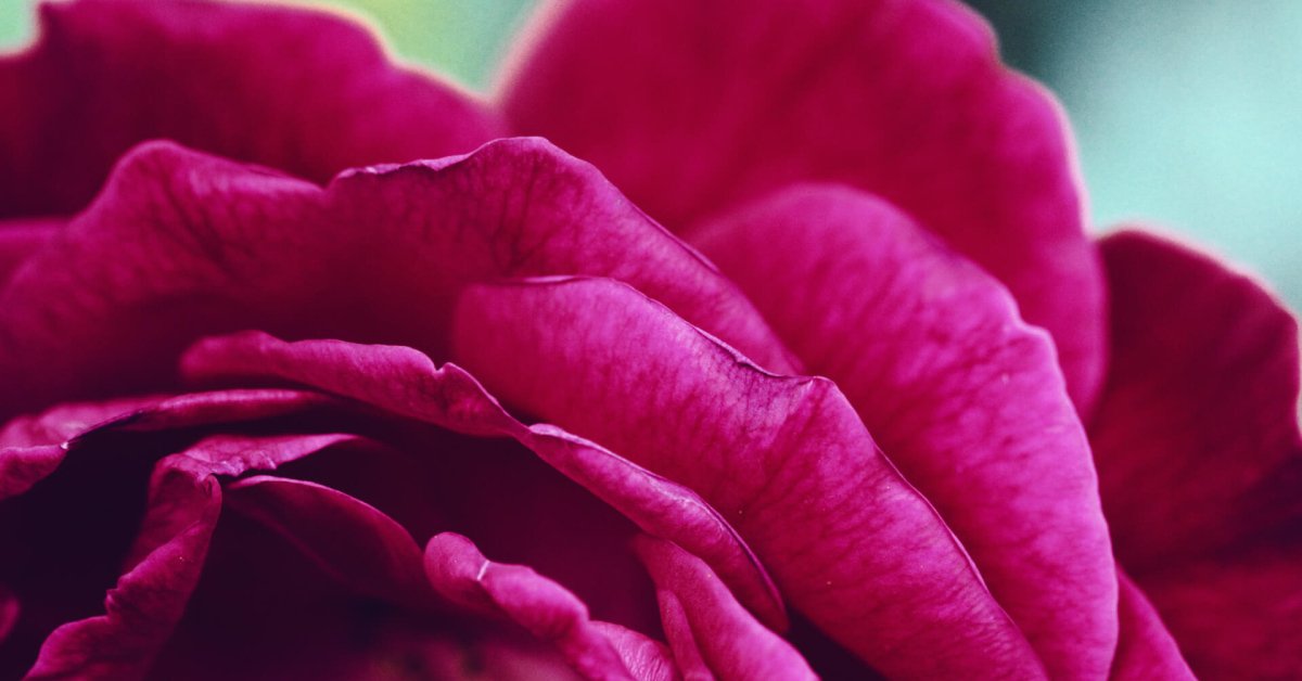 Unlock the Surprising Power Behind The Symbolism of Number 80 — You Won’t Believe What It Means