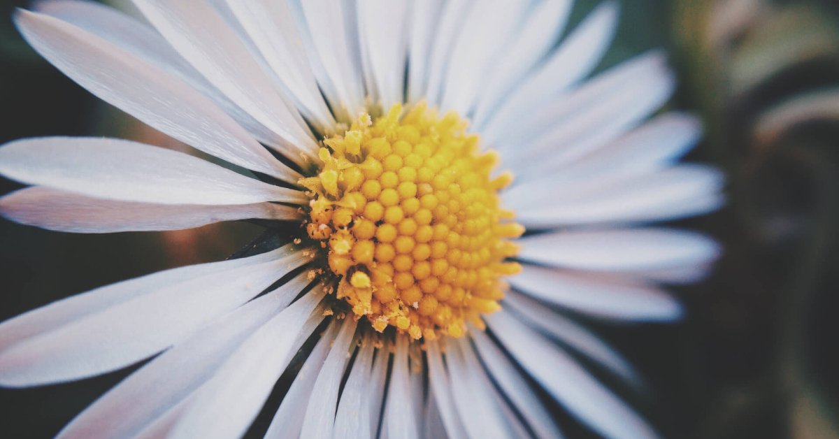 Unlock Your True Potential: How Number Symbolism in Personal Development Can Change Your Life Unlock Your True Potential: How Number Symbolism in Personal Development Can Change Your Life